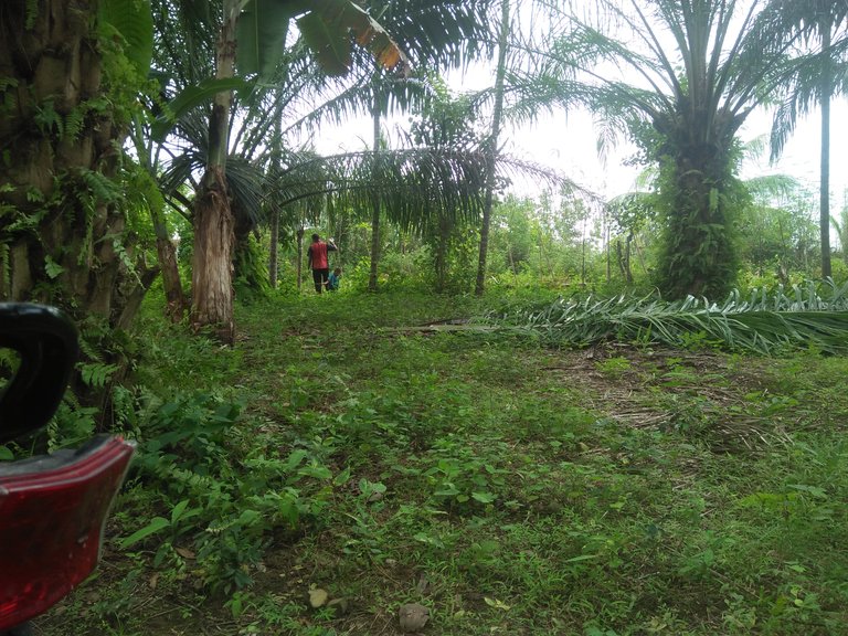 IMG20250424103027.jpg