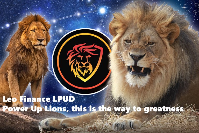 LPUD - Power Up Lions, this is the way to greatness
