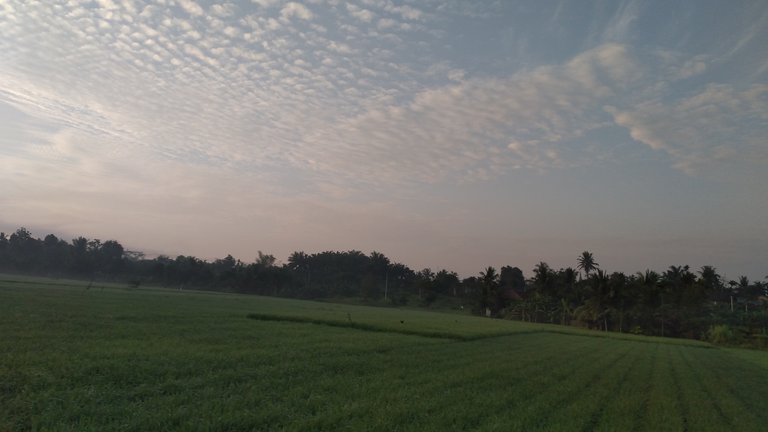 20240317_065946.jpg