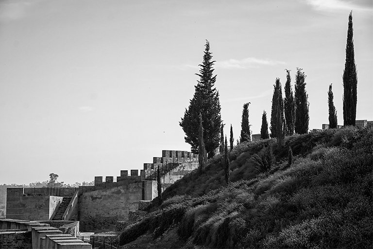 DSC_3724.jpg