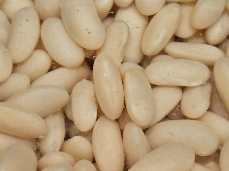20250520_120855.jpg