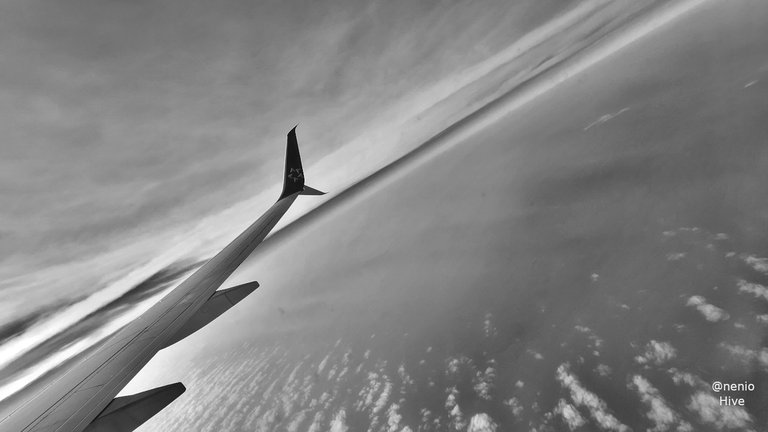 flying-010-bw.jpg