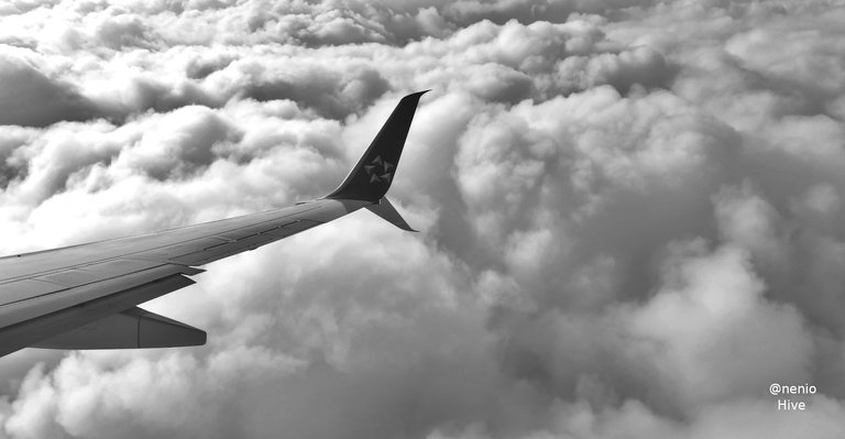 flying-011-bw.jpg