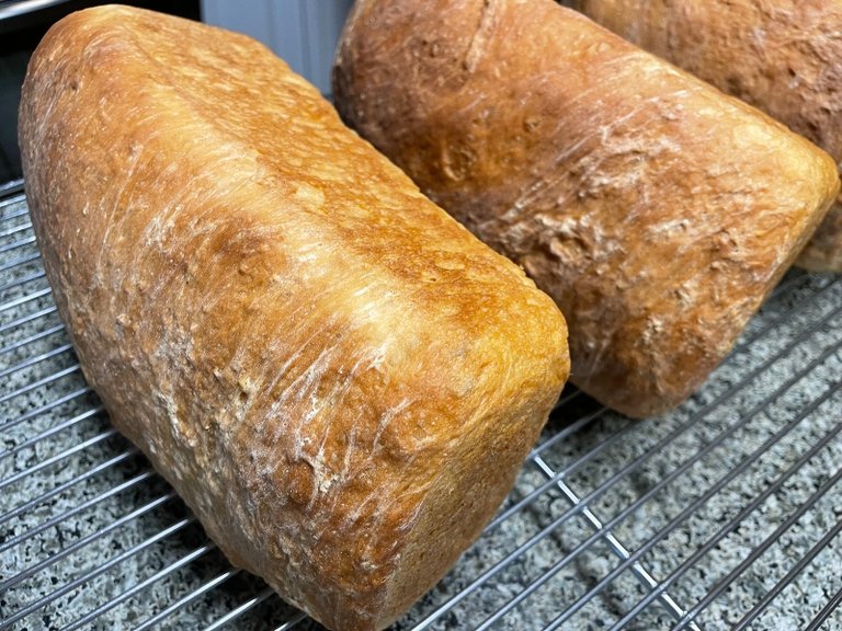baking-bread-3.jpg