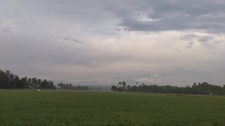 20240310_070108.jpg