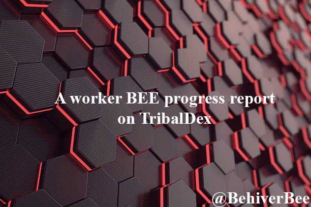 A worker BEE progress report | 24-September-2022