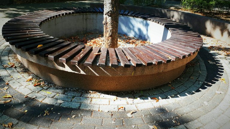 20250808_171709.jpg