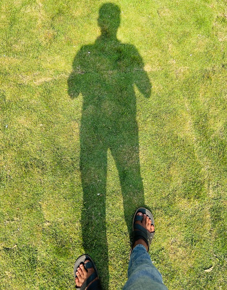 IMG_2567.jpg