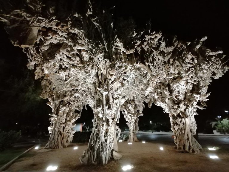 IMG_20221105_235409 (Copy).jpg