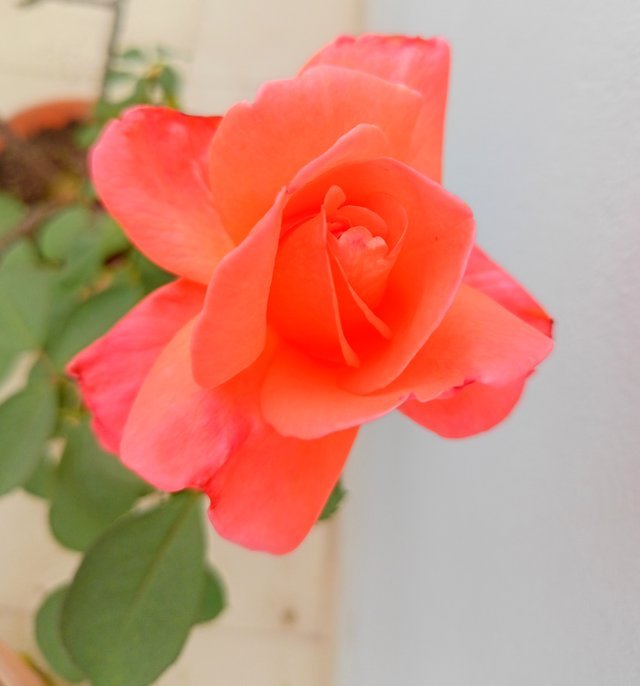 7258xSVeJbKkzXhyseBP4PYz11eBDT8sW2oR1a4vfVFS6HTXhHYp4QjyGQJEBaujXXE6mcAdG1mVY5LAuMESWLqw1NBdkXiuN4Wwi47RMwdeDAoE4DC2TJAc96xCnLXCCtXPdSS6zptBp.jpeg