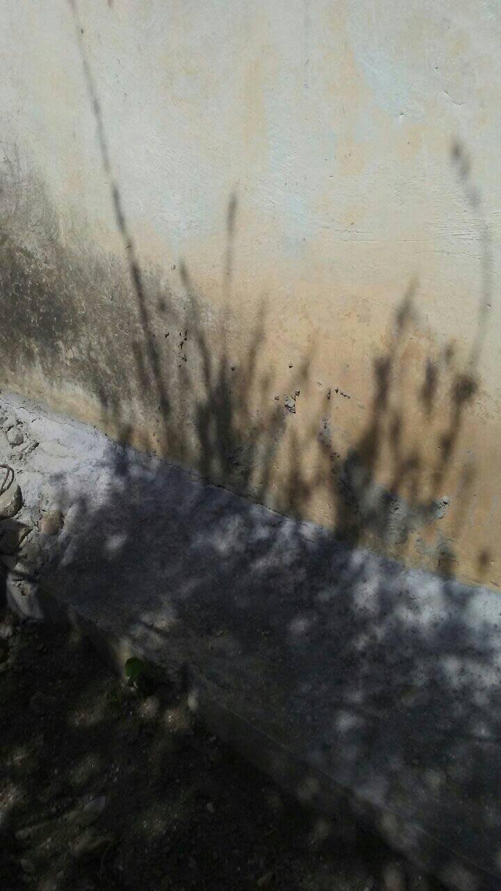 sombra petronila.jpg