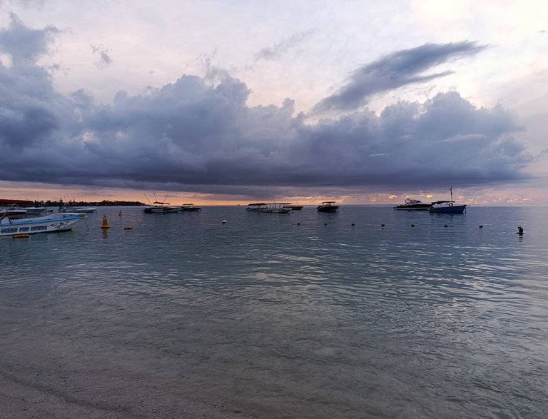 IMG_20250403_175948.jpg