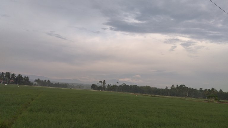 20240310_070109.jpg