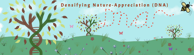 Densifying
Nature-Appreciation (DNA) banner.png