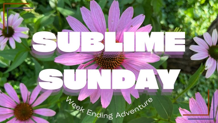 sublimesunday3.jpg