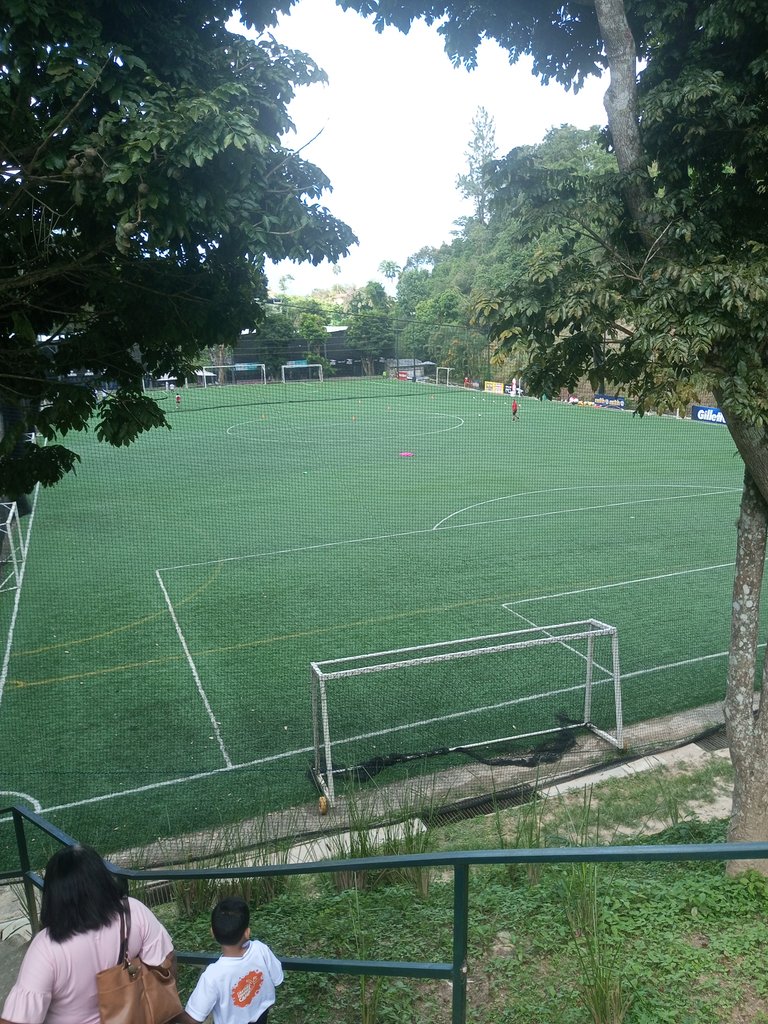 IMG_20250729_152944_195.jpg