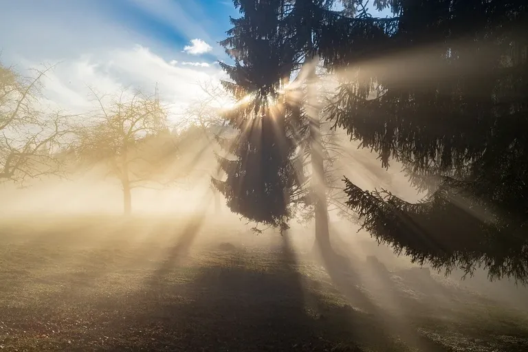 rays-3902368_960_720 Sun sonne licht nebel liebe.webp