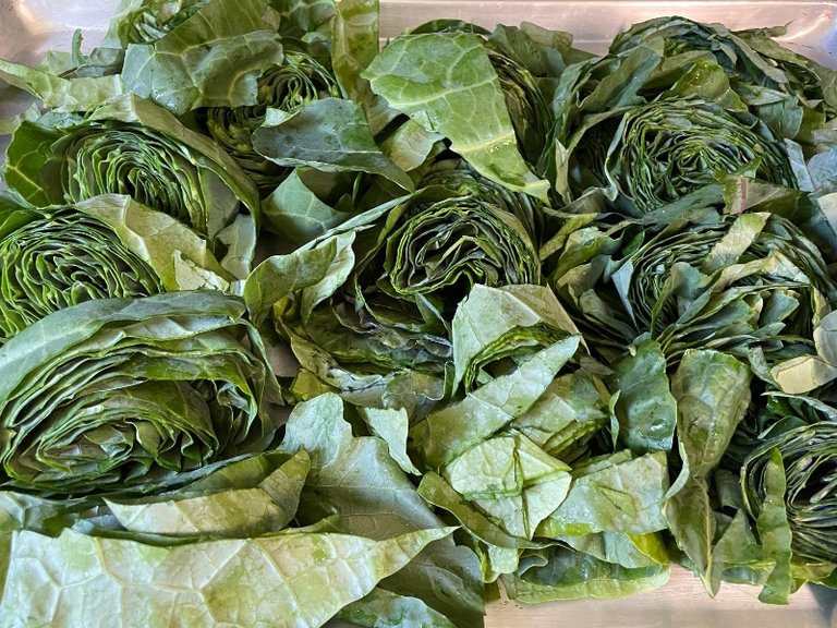 foodiesbeehive-dehydrating-cabbage-9.jpg