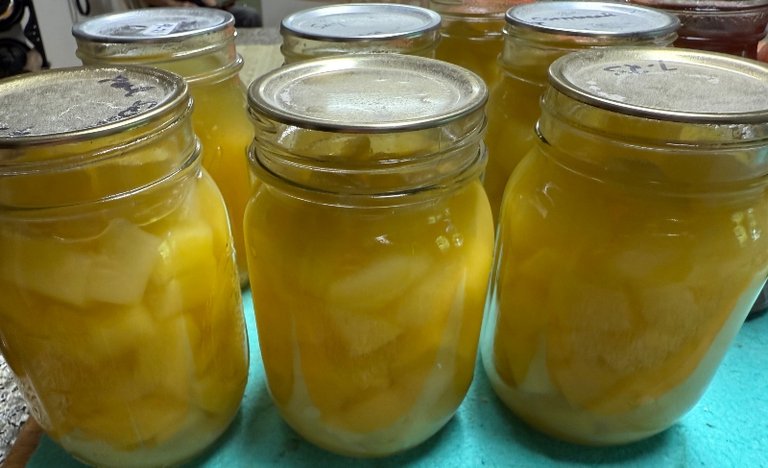foodiesbeehive-mock-pineapple-zucchini-3.jpg