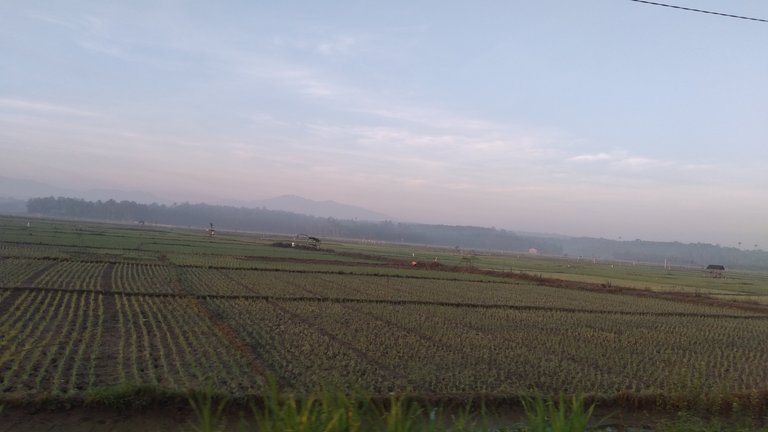 20240313_070050.jpg