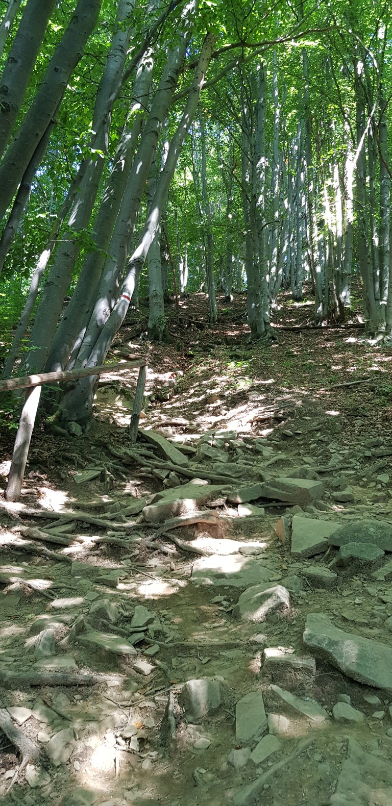 20240815_105550.jpg