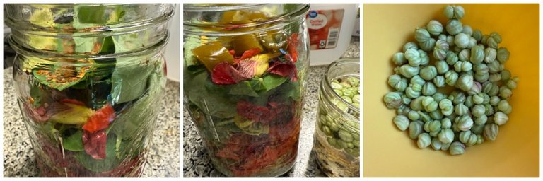 foodiesbeehive-nasturtium-ferment-3.jpg