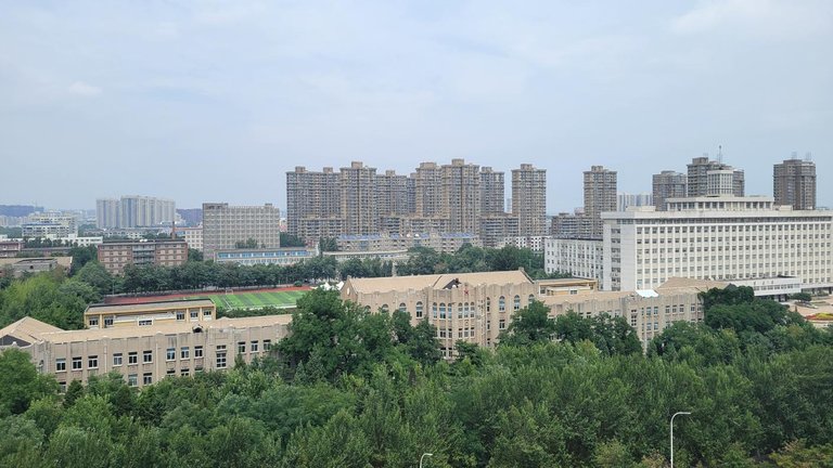 20250726_115519.jpg