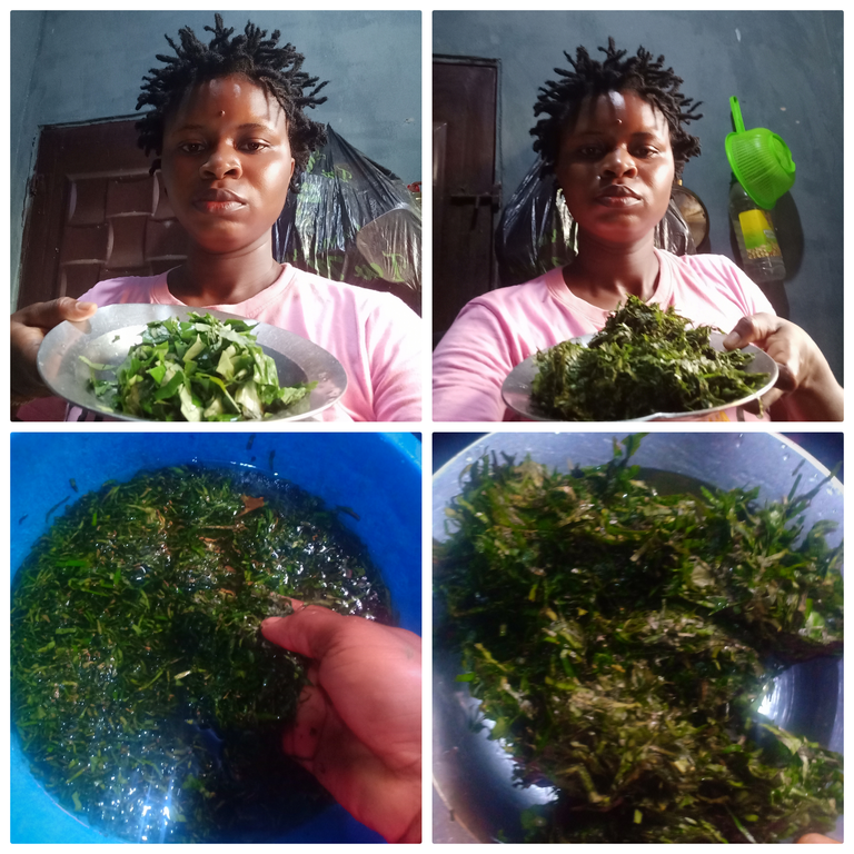 Collage 2025-06-15 14-10-04.png