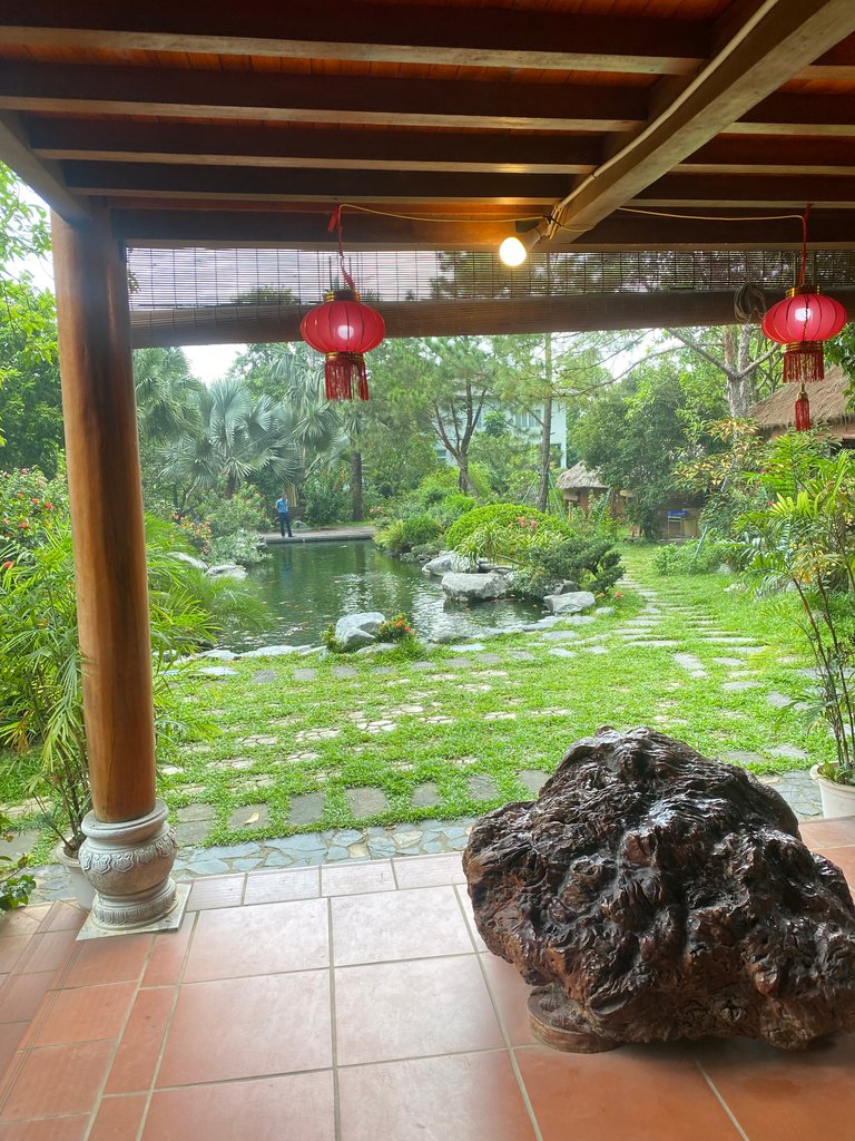IMG_8405.jpeg