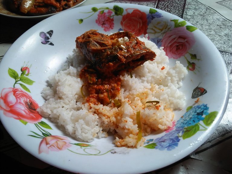 IMG20250127125053.jpg