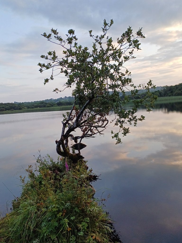 20250722_205949.jpg