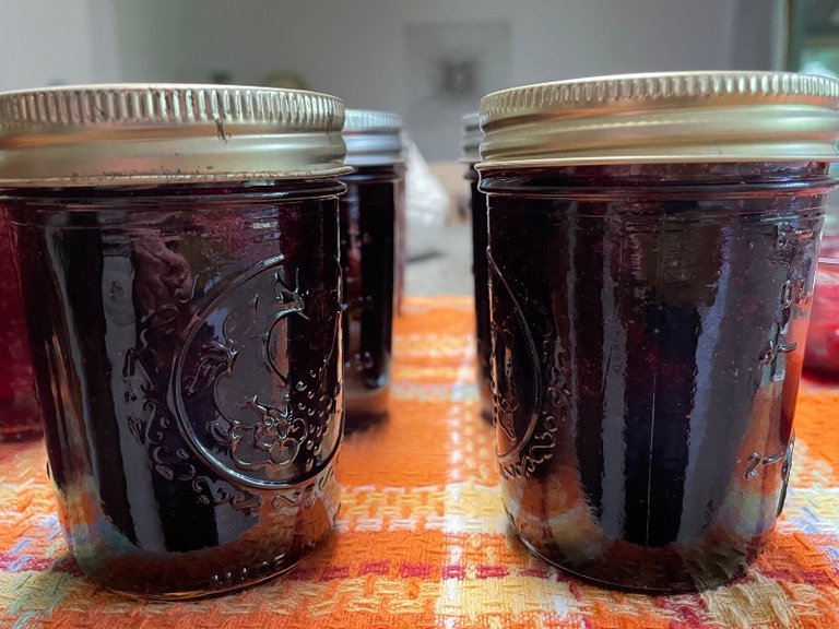 foodiesbeehive-blueberry-jam-6.jpg