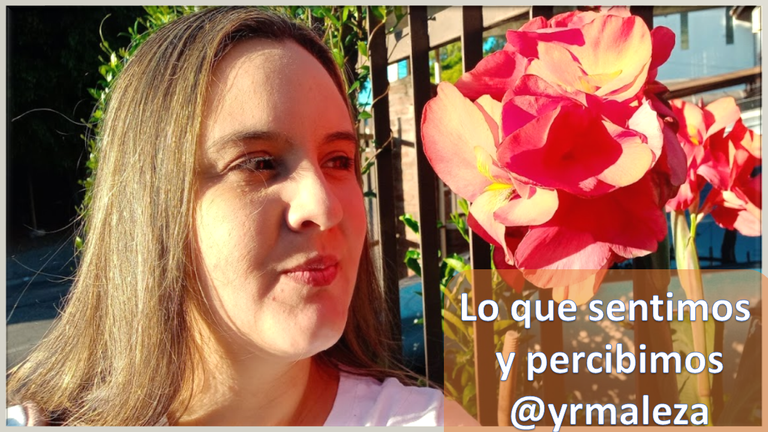 Presentación1.png