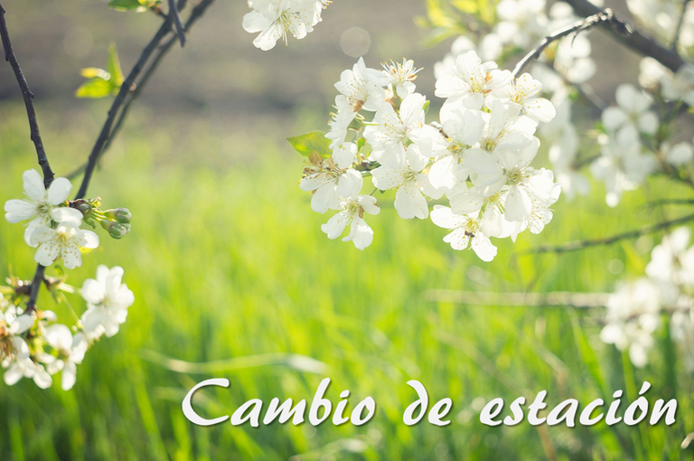 imagen.png