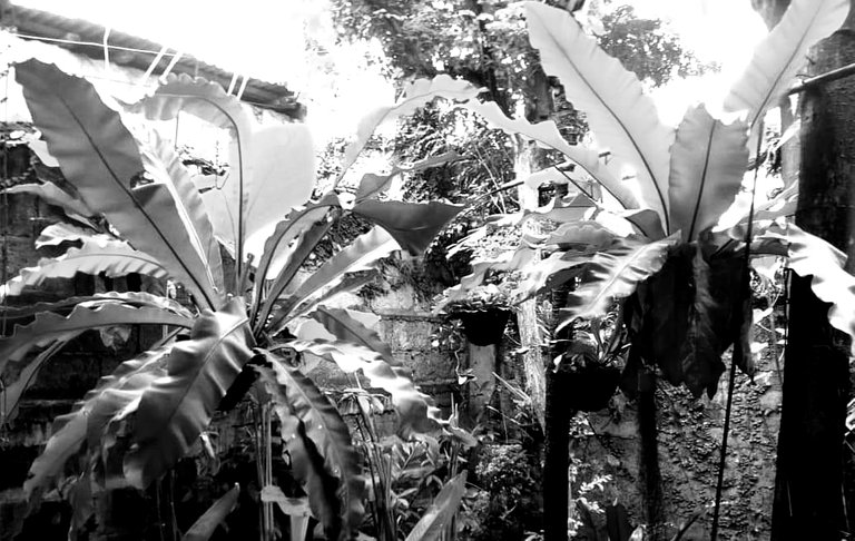 20210112_191056.jpg