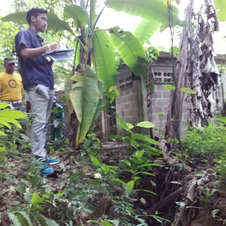 ESTRUCTURA.jpg