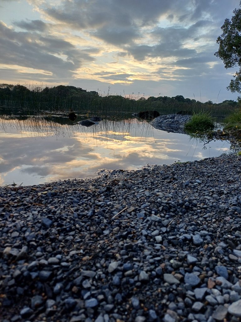 20250722_210134.jpg