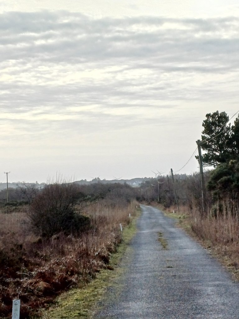 20250111_135956.jpg