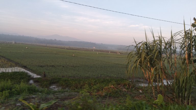 20240313_070104.jpg