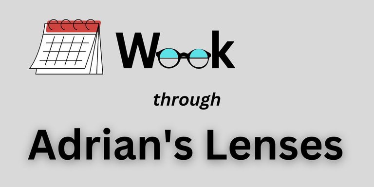 Week through Adrian's Lenses (27 January-2 February 2024)