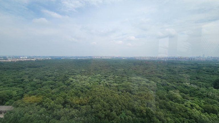 20250725_124847.jpg
