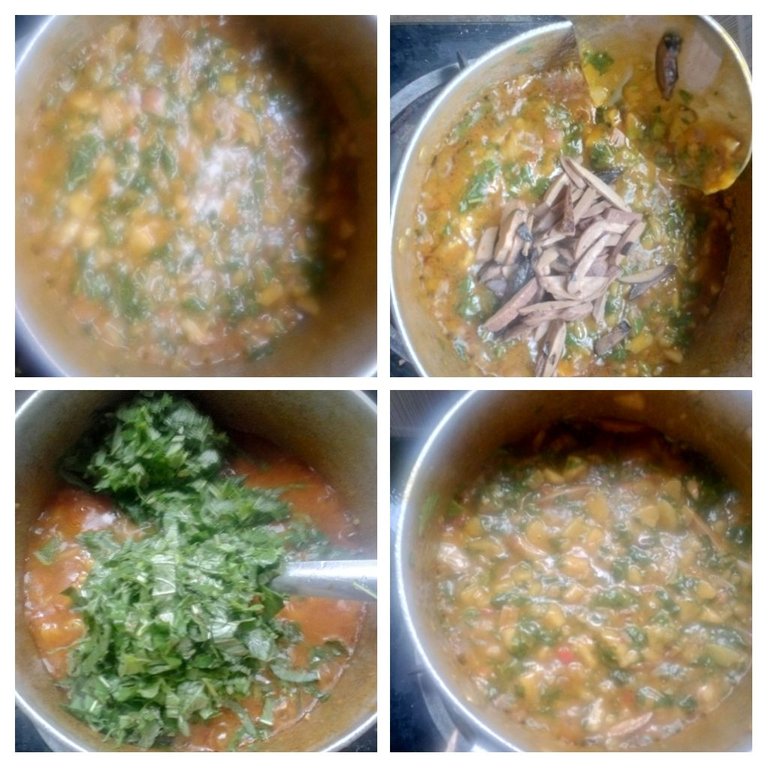 IMG_20250815_213511-COLLAGE.jpg