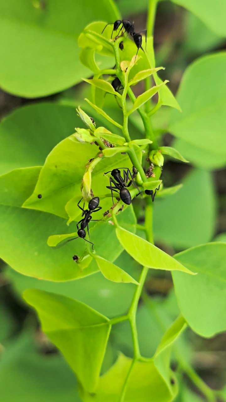 Nature photography date 26-10-2025