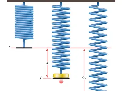 springelasticity.webp