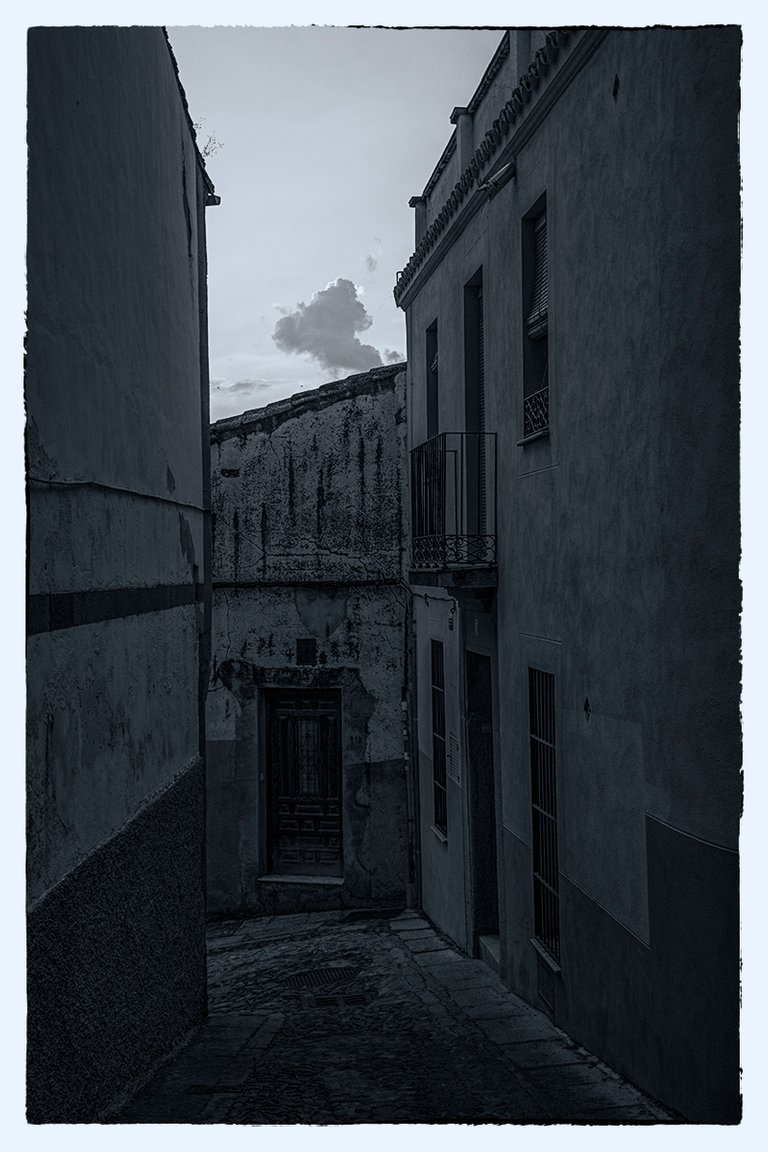 DSC_3323.jpg