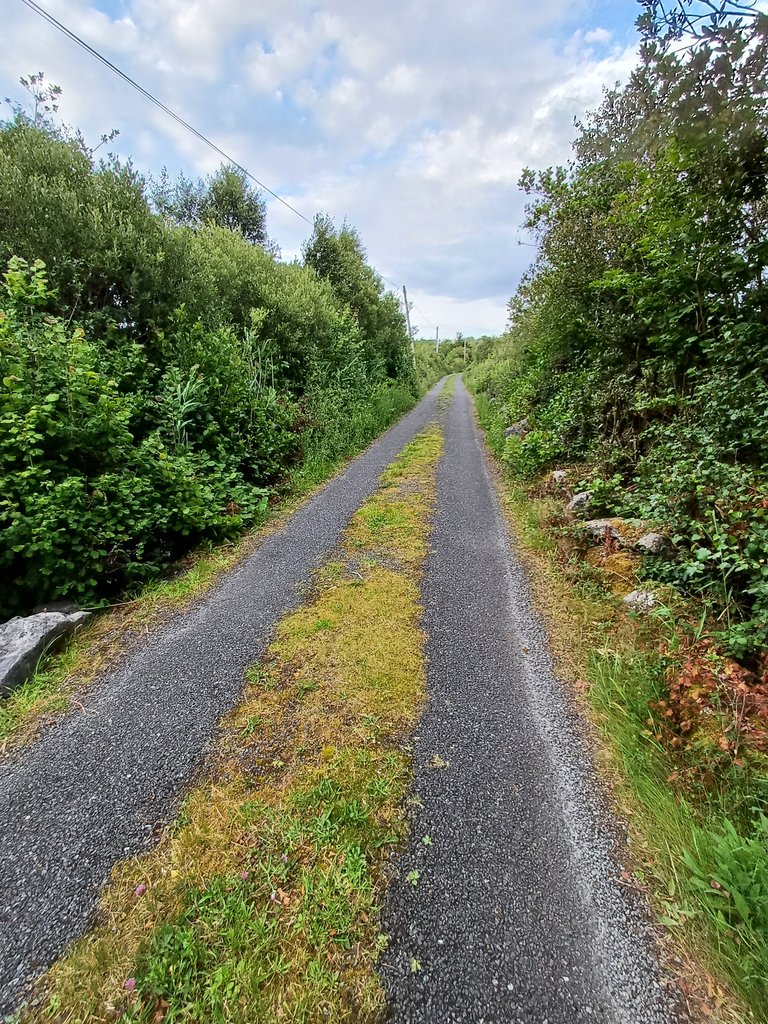 20250706_204353.jpg
