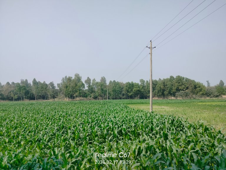 IMG20250217132946.jpg