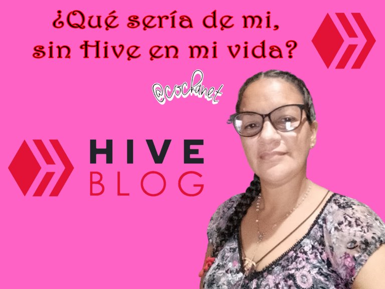 que seria de mi sin hive.jpg