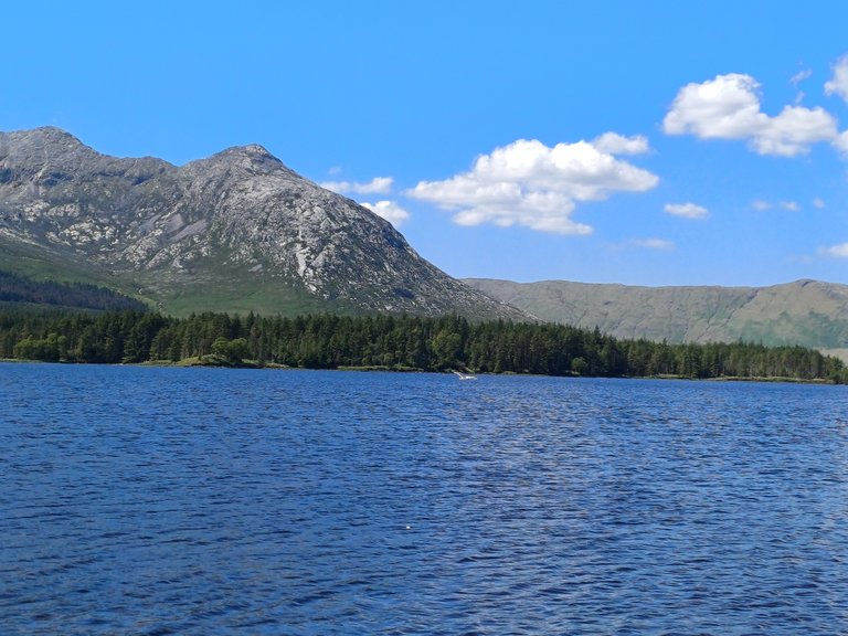 20250518_143538.jpg