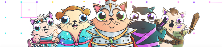 A line of CryptoKitties, the NFTs that acted as a prelude to the Flow Blockchain.